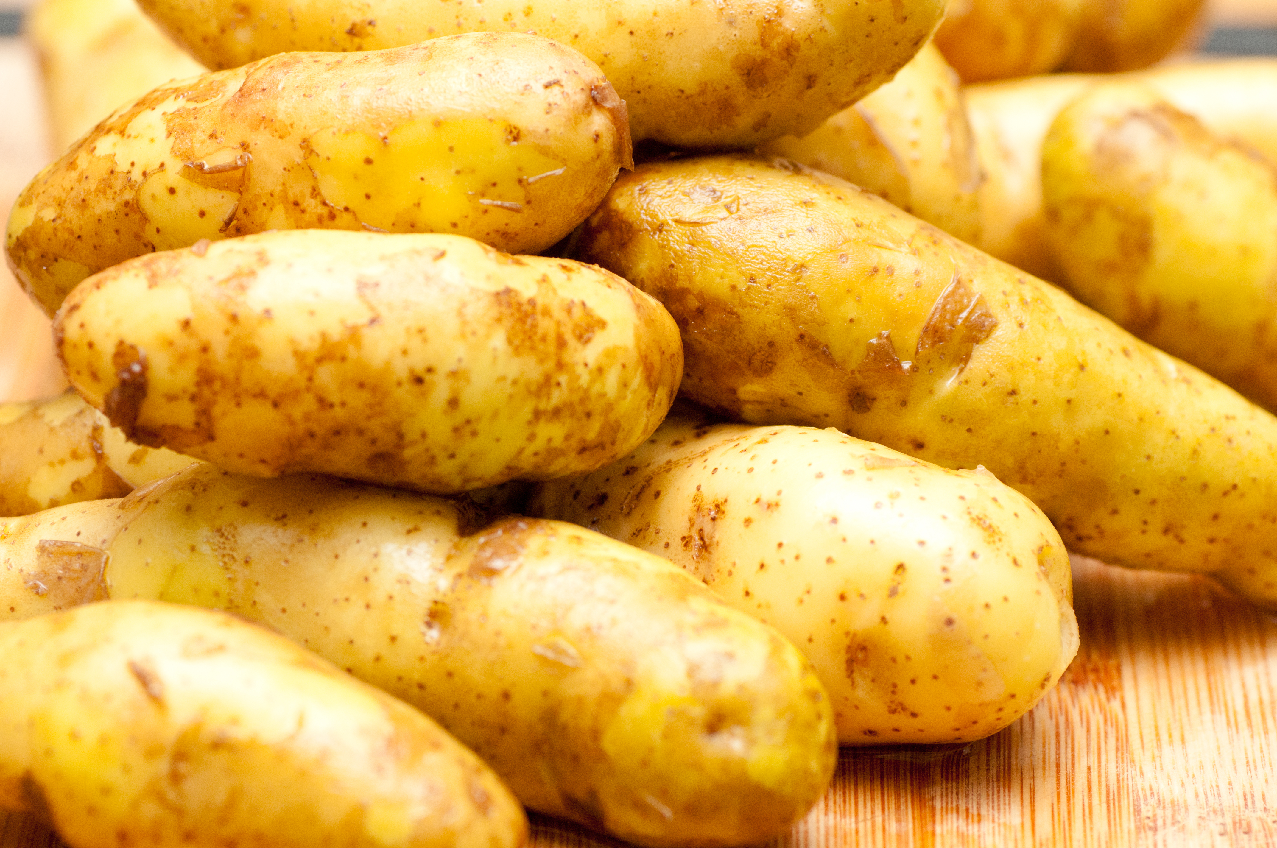 non gmo fingerling potatoes