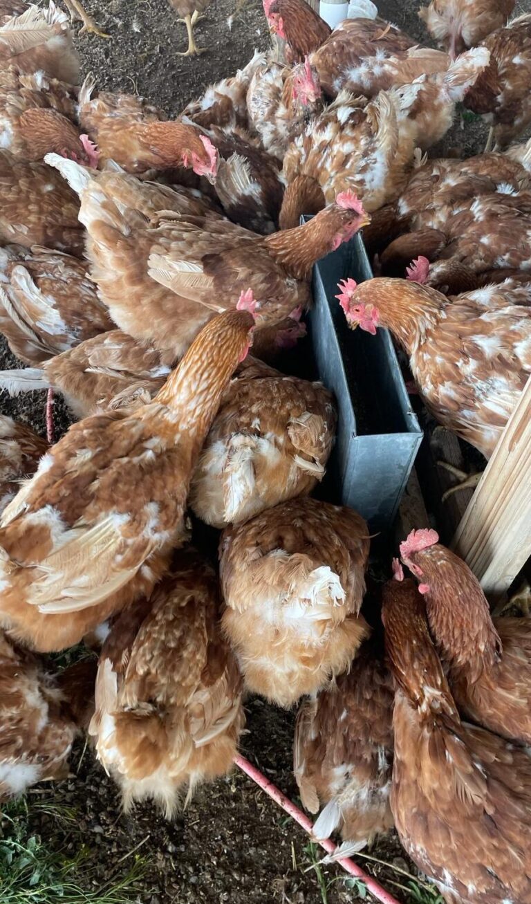 PHOTO-2024-04-15-11-32-19